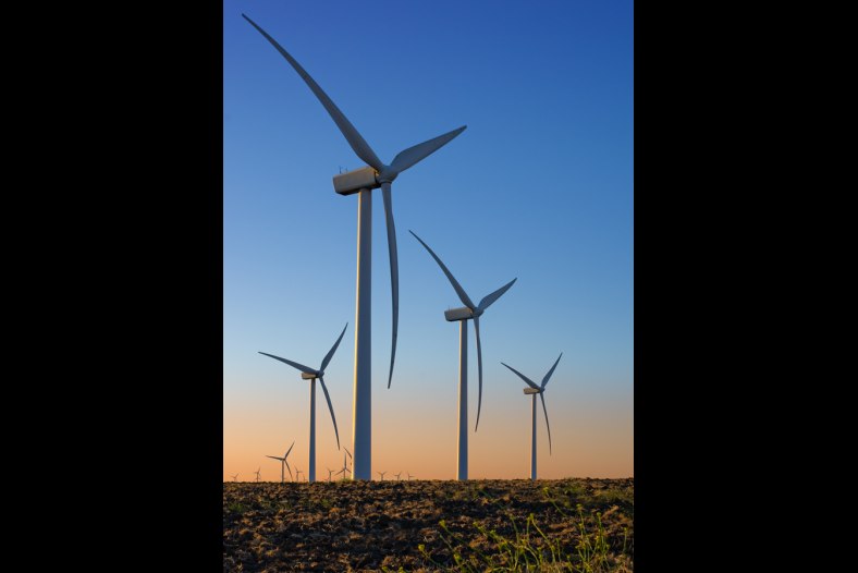 Windfarm Morning